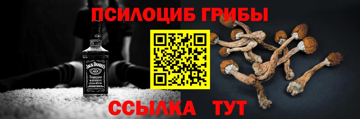 Галлюциногенные грибы Psilocybe  цены наркотик  Карпинск  Вход с VPN  Галлюциногенные грибы MAGIC MUSHROOMS 