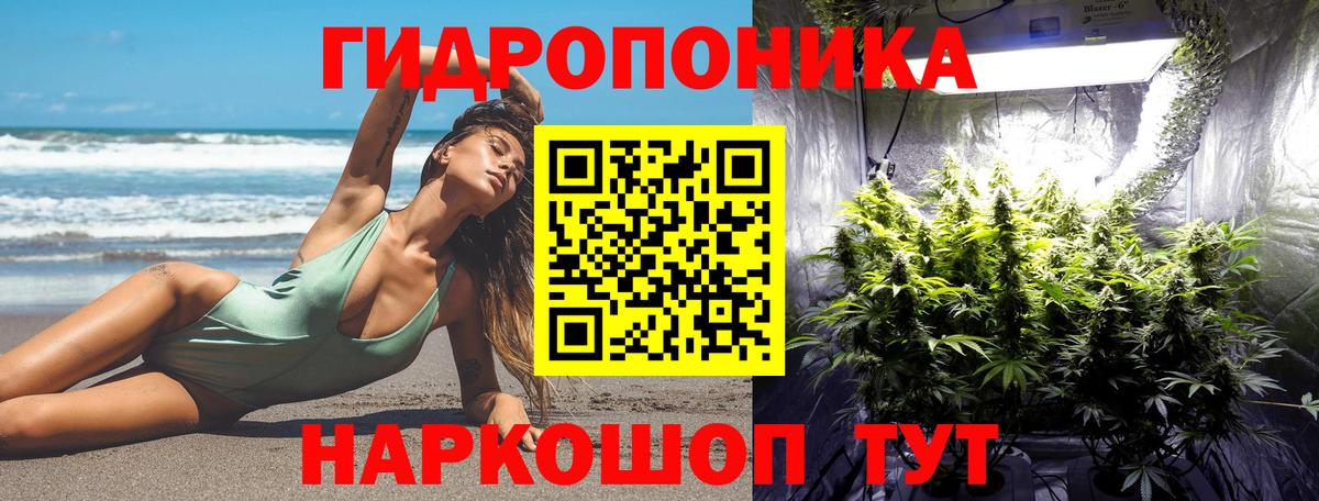 МАРИХУАНА конопля  Канабис план  Вход с VPN  Марихуана MAZAR  Шишки марихуана тримм  Карпинск 